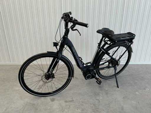Electric bike