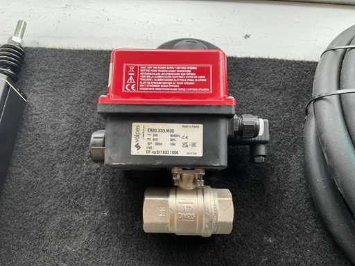 Valvole ER20. X03. Valvola M00