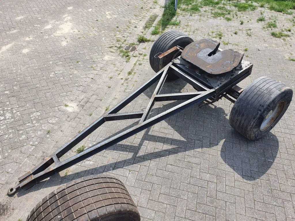 Ackermann – 2020 – 100 cm – As