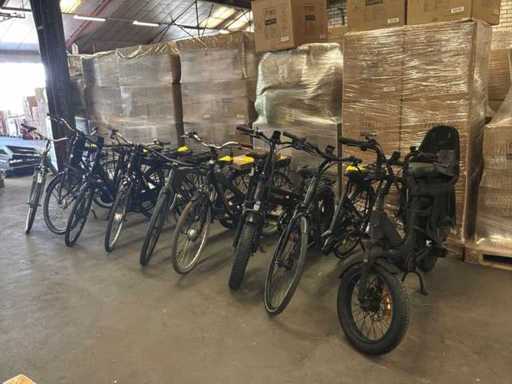 Biciclete electrice de serie (9x)