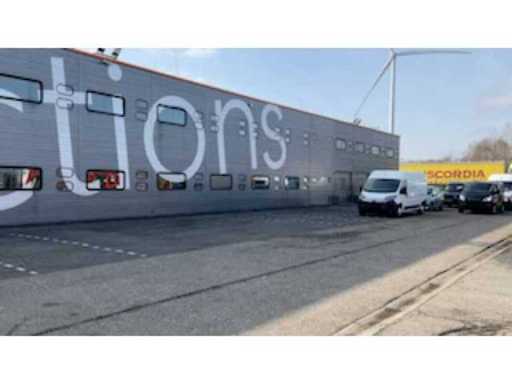 fc29017a-3798-4022-b4a0-14d07691d8fd.mp4