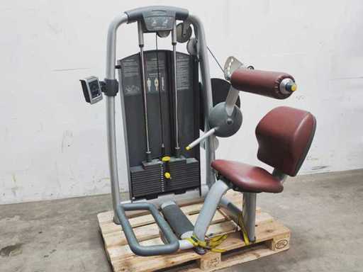 Technogym - Dolna część pleców - M858A - elektrownia