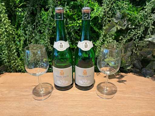 Bouteille de vin pétillant (8x)