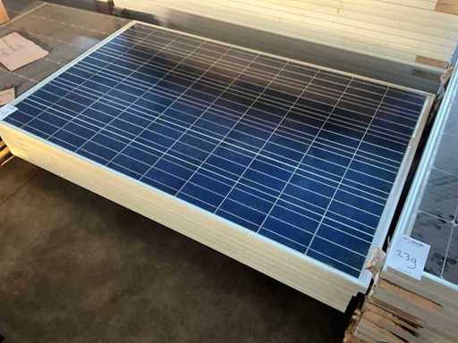 Denim SC G P260WW-60 Panel Słoneczny (7x)