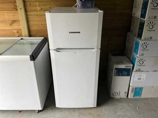 Combinaison réfrigérateur-congélateur Liebherr