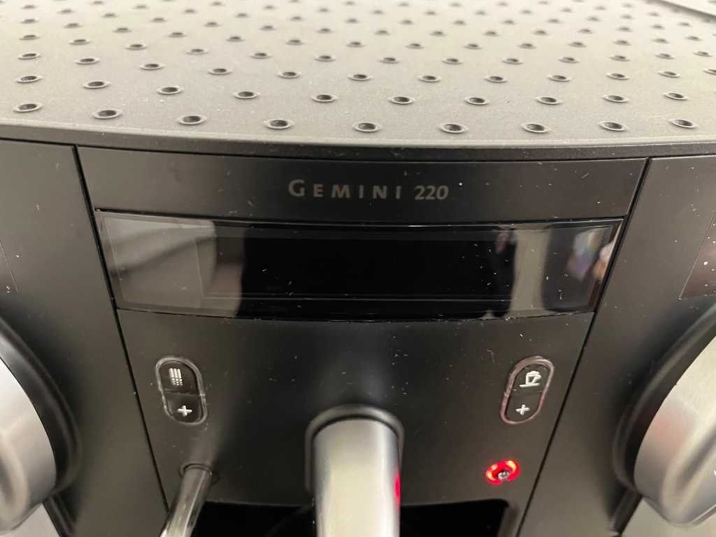 Gemini 220