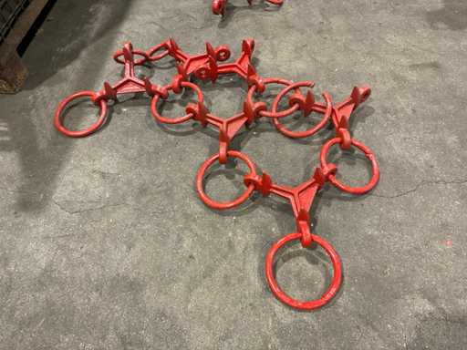 Eine Gruppe von Mähenpfadzähnen mit Ringen