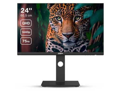 Dahua P301 24" Monitor