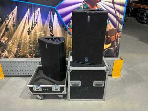 dB Technologies DVX DM15 Enceinte moniteur (2x)