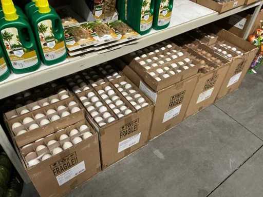 Série d’œufs décoratifs variés (170x)