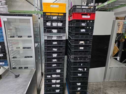 Caisse en plastique (32x)