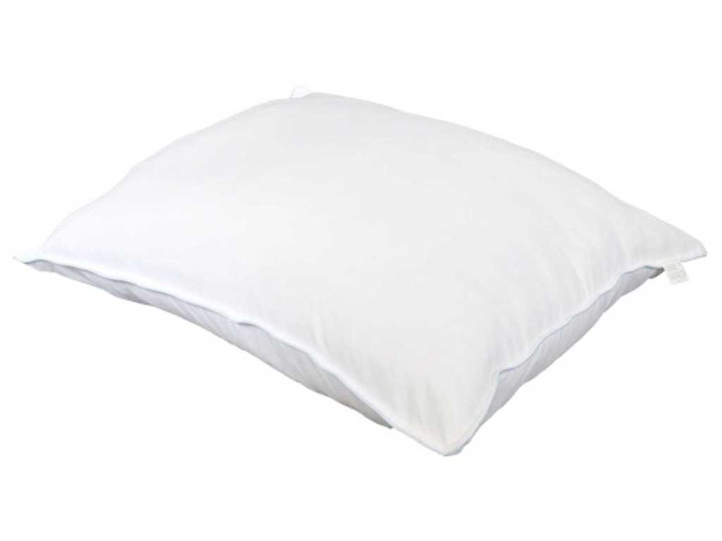 Swiss - Classic Pillow 60x70cm (10x)