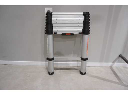 Telesteps - Extension ladder