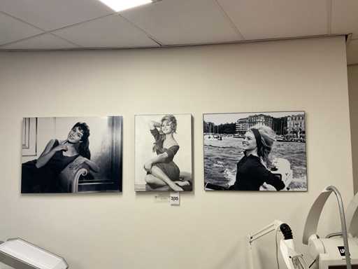 Brigitte Bardot Wanddecoratie (3x)