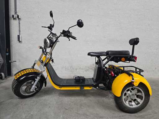 Shansu Green Rider - 3 wieler - Elektrische Shopper - Elektrische fiets