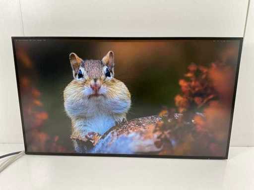 HP (Z27u G3) 27”, 2560x1440 (QHD) IPS Monitor