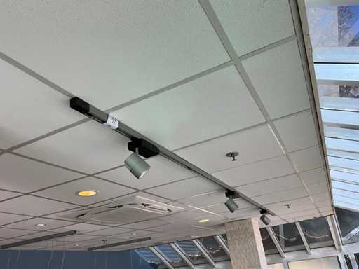 ?in? cu spoturi (3x)