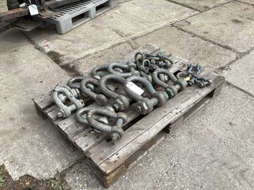 Lotul D-shackles