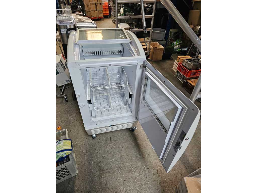 Congélateur combiné professionnel et réfrigérateur congélateur sur roues