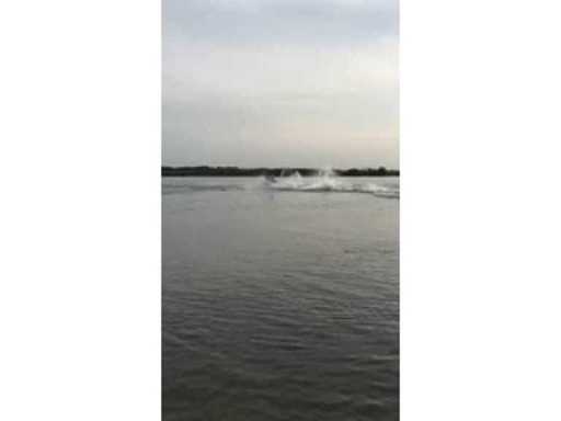 3ded4439-cade-45f7-bcdc-da7a803e8e3c.mp4