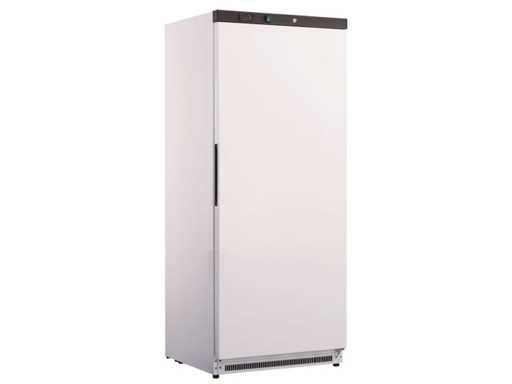 IceShop - Ventilated Positive Refrigerated Cabinet 600 L - Refrigerated