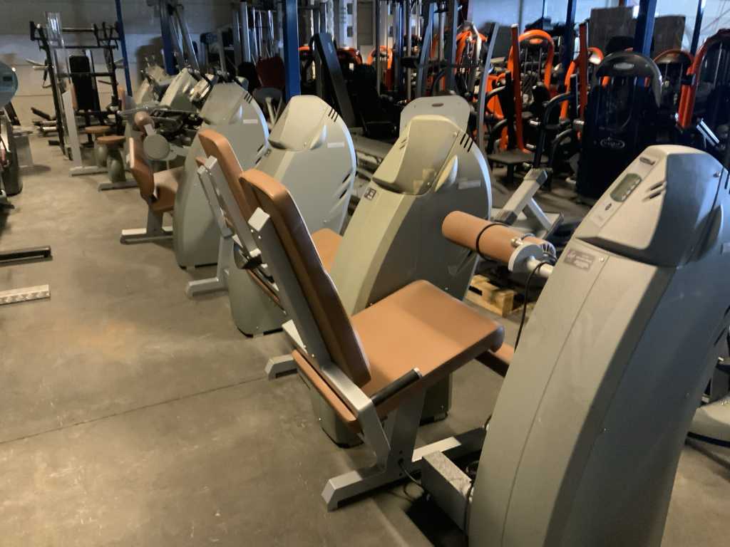 Ensemble de machines milon Multi-gym