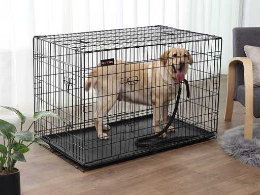 Dog Crate, 2 Doors, Foldable, Transportable