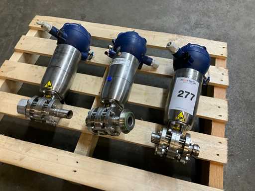 Valvola elettronica Bardiani 1.4404 (AISI 316L) (3x)