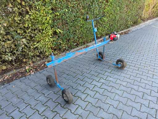 Voets Boutures Nipper