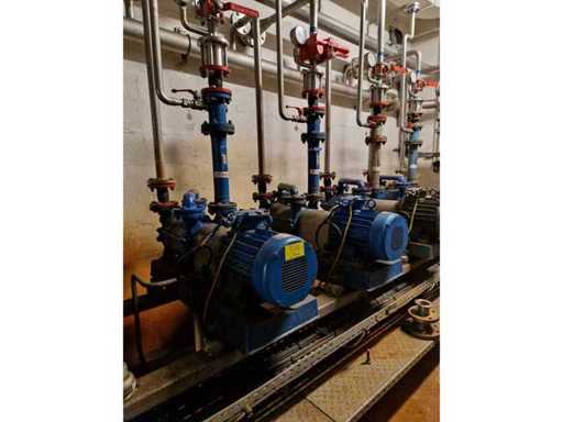 SPECK - PTB 13 ATEX 4003 X - Pompe de vid ATEX (2x)