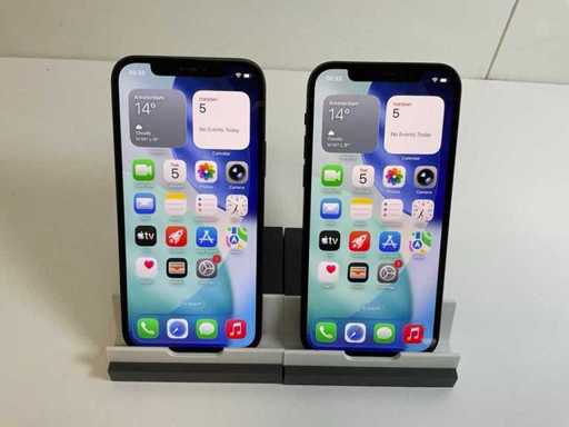 Apple iPhone 12 - 128 Go - Noir (2x)