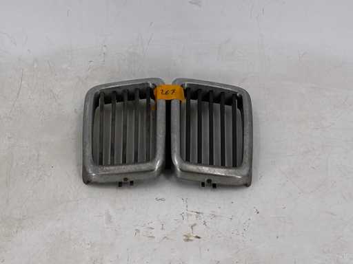 Ziergitter_Kühlergrill_Niere_BMW2
