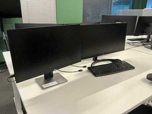 Dell/LG P2419hc/29Wk500 Monitor (2x)