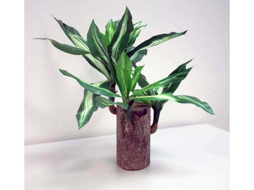 4 Stuks Drakenboom (Dracaena fragans) Dieffenbachia Hoogte 25cm Decoratieve Plant - Kunstplant - Kantoor - Gastronomie - Wachtkamer - Gastrodiscount