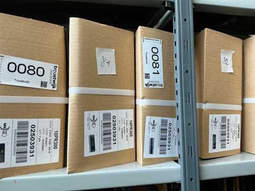 Faital Pro 10PR300 (2x)