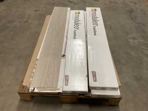 Pardoseal? din PVC uscat? Moduleo Transform Batch, aprox. 16m2
