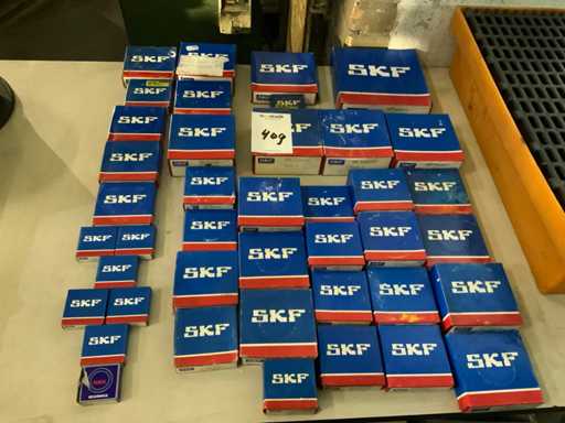 SKF Divers Ball Bearing