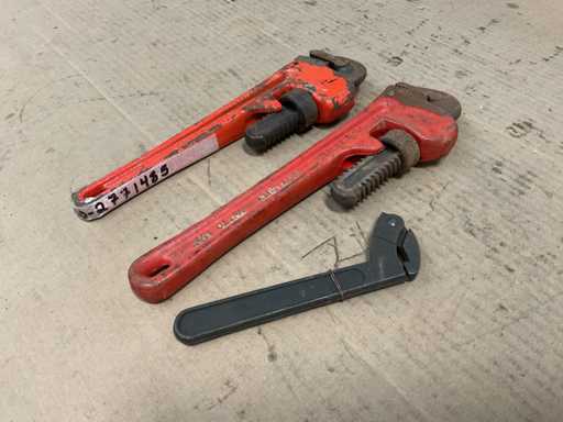 Pinces différentes (3x)