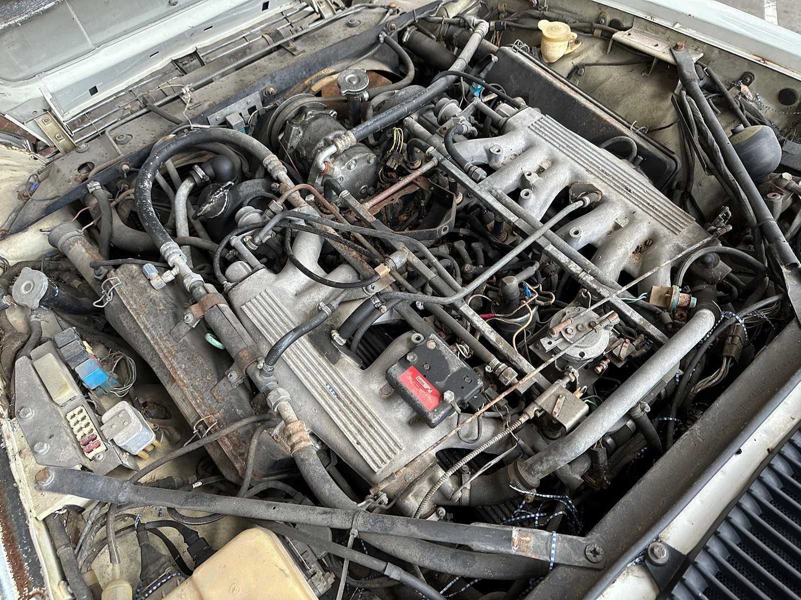 Jaguar XJS Cabriolet 5,3 V12 266 PS 1989