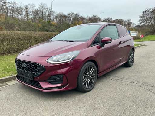 Ford Fiesta Light Truck 2021