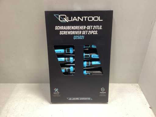 Quantool - 21 delig -schroevendraaier set