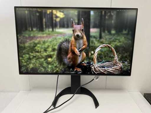 Eizo (EV3285) 32", 3840x2160 (UHD) IPS Monitor
