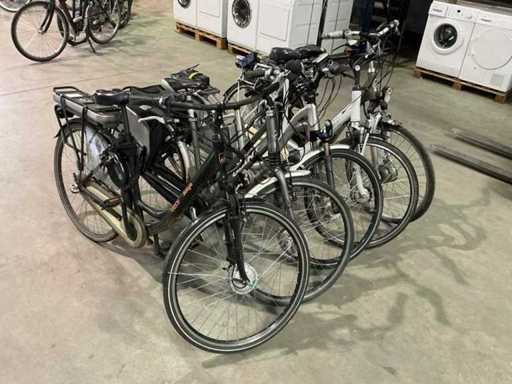 Elektrisches Damenfahrrad (5x)
