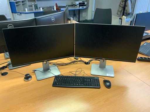 Dell-Displays (2x)