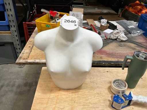 Maniquí de plástico blanco en la parte superior del cuerpo