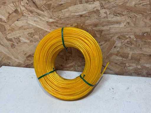 Carter Clothesline 60M (133x)