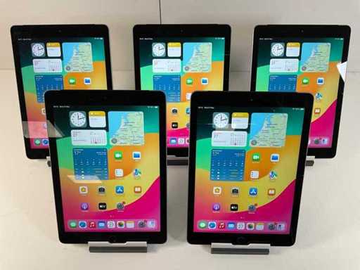Apple iPad 6th Gen 8.3" - WiFi + Cellular - 32 GB - Space Gray (5x)