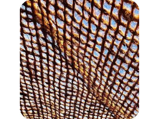 4Shine - Driehoekig kokos schaduwdoek 2x2x2 (3x)