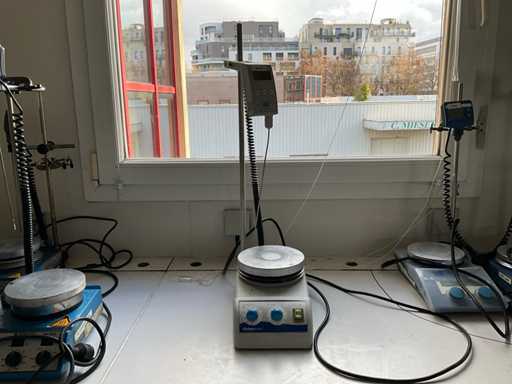 Agitatore magnetico riscaldato FISHERBRAND