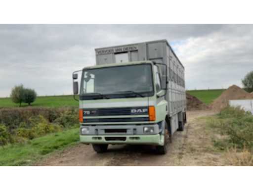 3df38d88-cc40-4bcb-a998-a68e73c23d0a.mp4